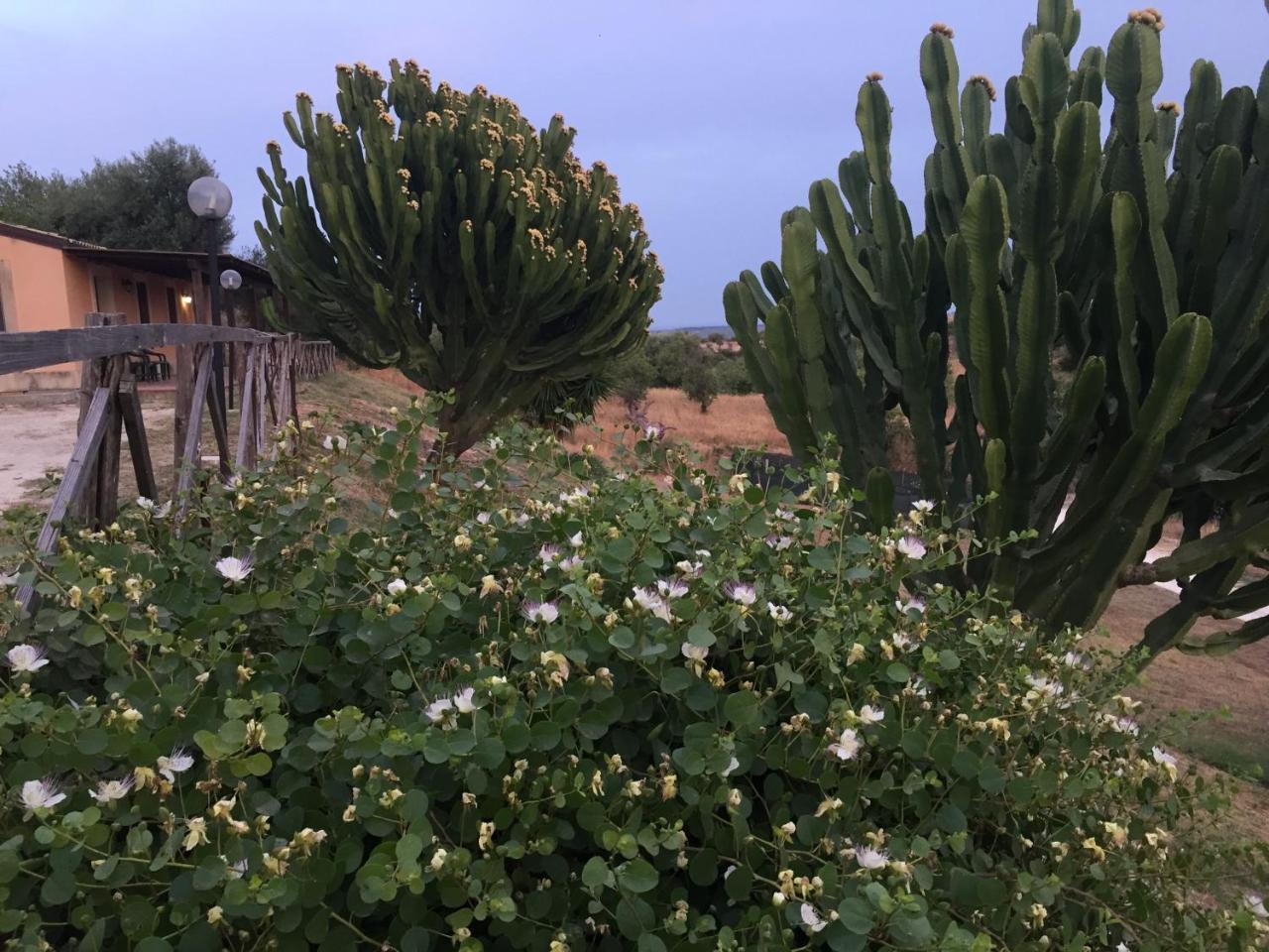Agriturismo Saccollino San Paolo  ภายนอก รูปภาพ