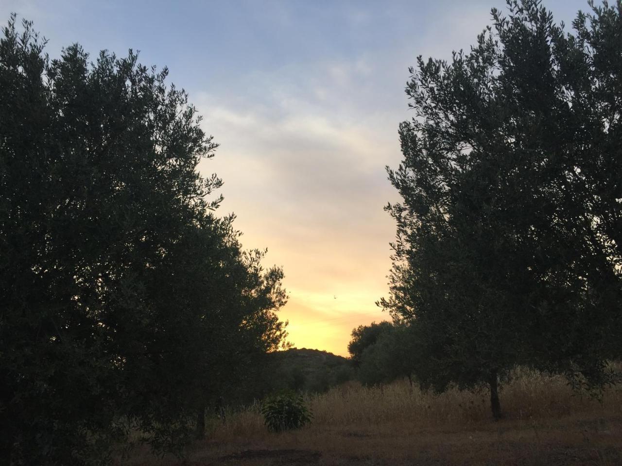 Agriturismo Saccollino San Paolo  ภายนอก รูปภาพ