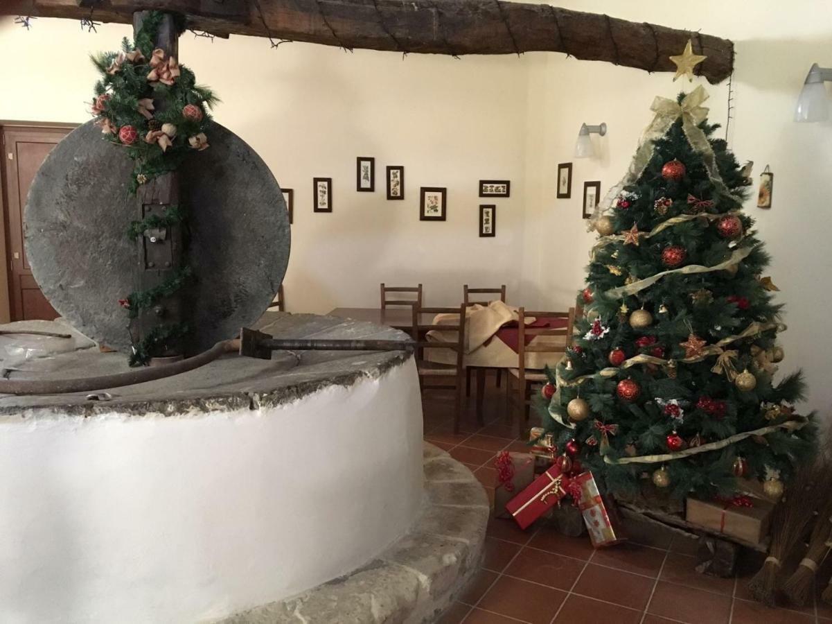 Agriturismo Saccollino San Paolo  ภายนอก รูปภาพ