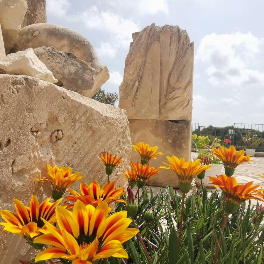 Agriturismo Saccollino San Paolo  ภายนอก รูปภาพ